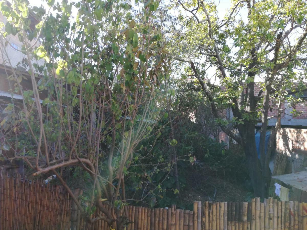 Aventura Chachapoyas Backpackers Hostel Exterior photo